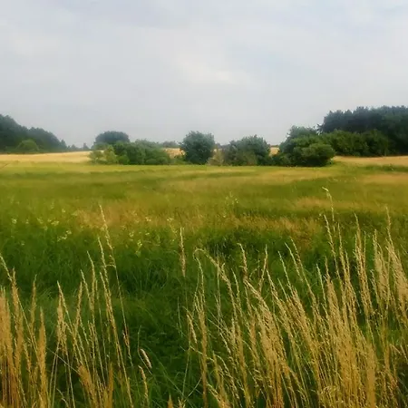 아파트 Mirabellenhof - Grosse Ferienwohnung Mit Aussicht